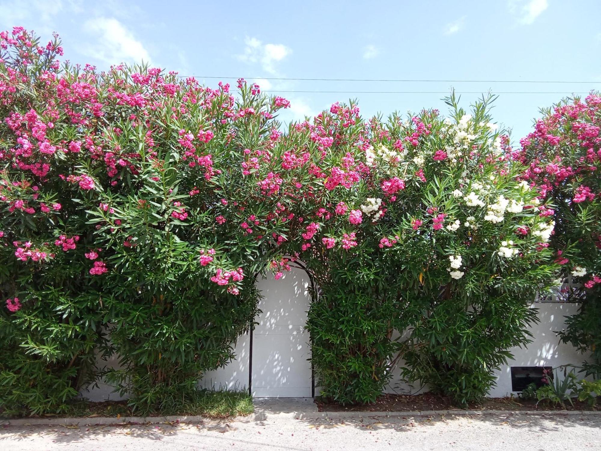 Apartamento Bungalow Marbella Marbella
