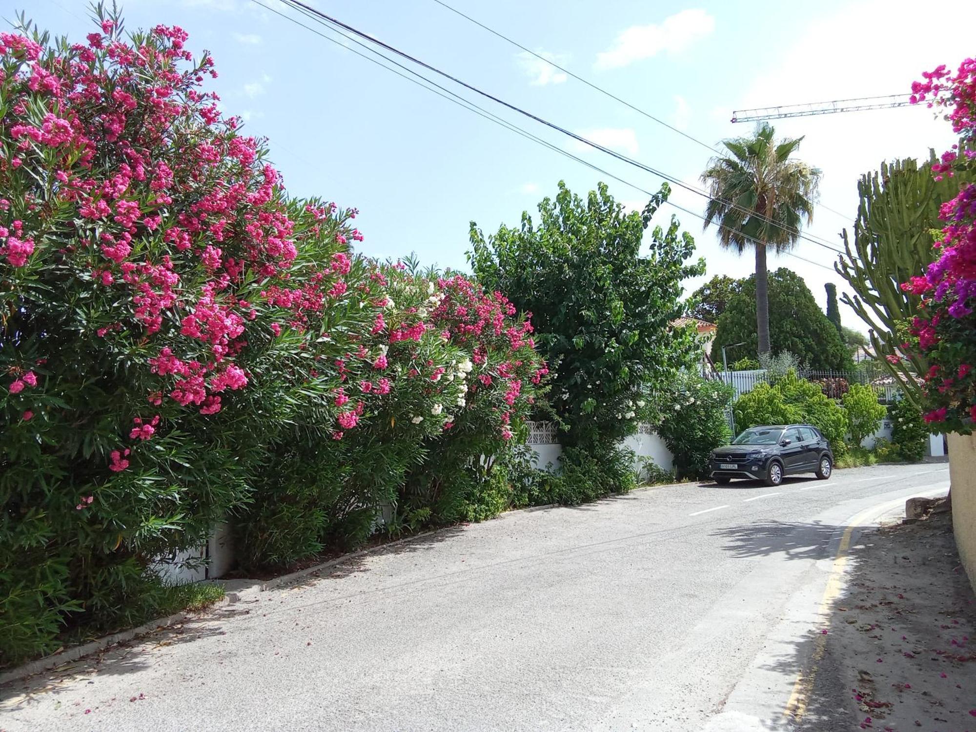 Bungalow Marbella Marbella